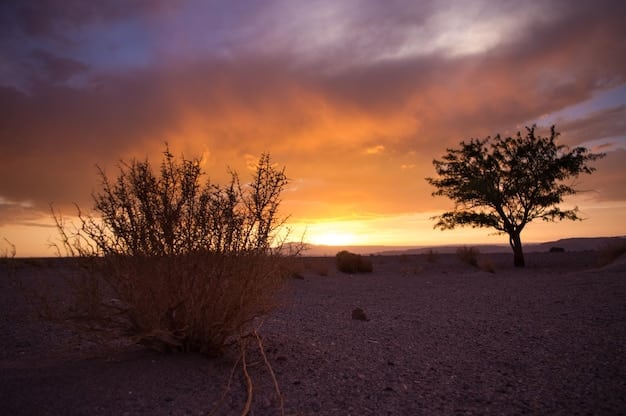 A scenic shot of a desert sunset, focusing on the gradient of colors in the sky. The colors range from burnt orange at the horizon to sandy beige and terracotta in the middle, fading into a rose gold hue at the top. The image includes silhouettes of cacti and distant mountains to capture the essence of a desert landscape.