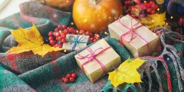 Temu's Holiday Gift Guide: Unique Gifts Under $30 - Cover Image