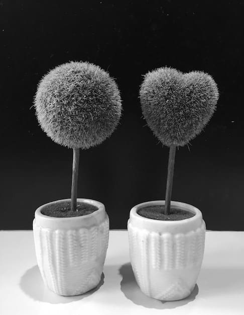 A split image comparing a higher-end home decor item (e.g., a vase) with a similar, more affordable item from Temu, highlighting the differences in materials and construction while still showcasing the aesthetic similarity.