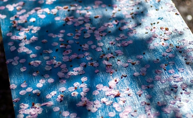 A close-up shot of two different fabrics with contrasting patterns, a small floral print and a wider stripe, but sharing the same color palette of pale blue and white. The image illustrates how a common color helps marry different patterns.