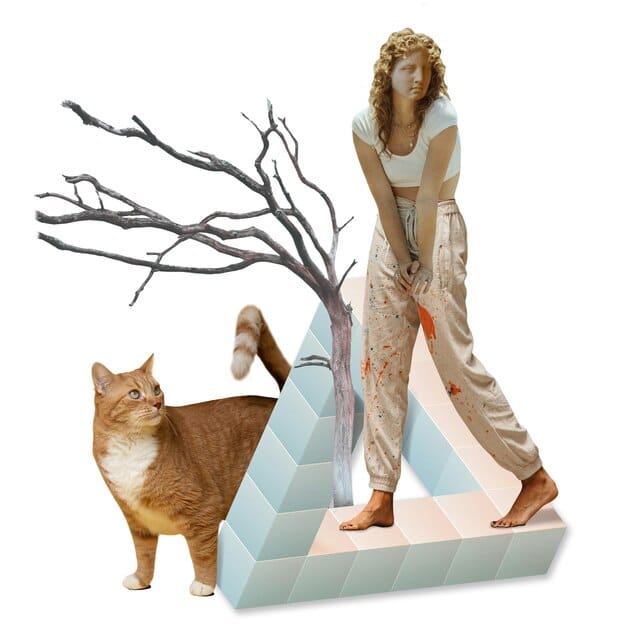 A collage showcasing different style aesthetics: classic, bohemian, minimalist, and edgy. Each aesthetic is represented by a curated selection of clothing items and accessories that exemplify its key characteristics. The image aims to provide visual inspiration for The 2025 Guide to Finding Your Personal Style: A Journey of Self-Expression, helping readers understand the diverse range of styles they can explore.