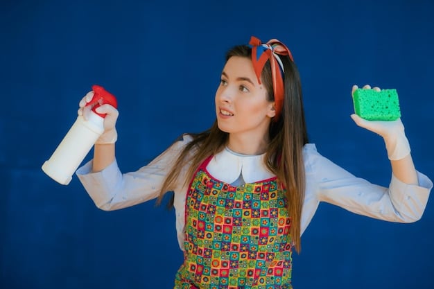 Testing the Viral TikTok Cleaning Product Haul: Do They Really Work? (2025)